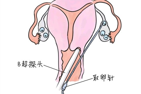 http://nanchang.huochezhan.net/post/205.html|南昌供卵助孕