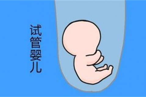 培养南昌捐卵宝宝艺术细胞的小技巧
