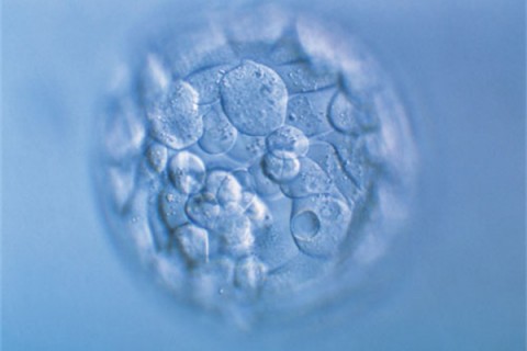 http://nanchang.huochezhan.net/post/200.html|南昌新闻中心