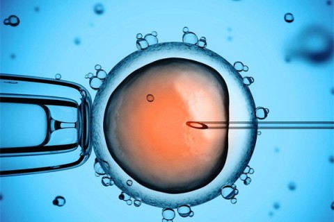 http://nanchang.huochezhan.net/post/199.html|南昌供卵助孕